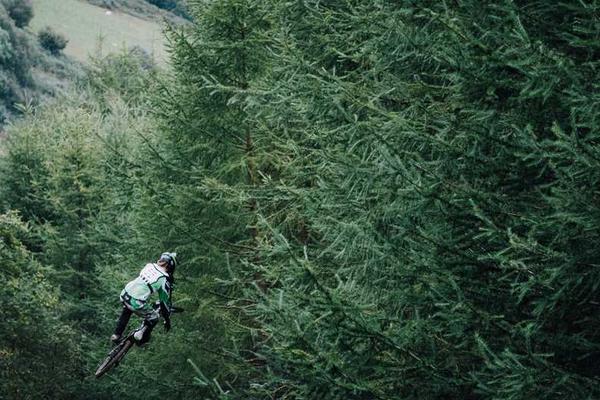 关于则您的目标受众将是学生和他们的家长的专业图片