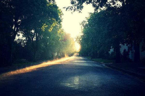 要真正掌握朱婷扣球技巧主题的精美插图