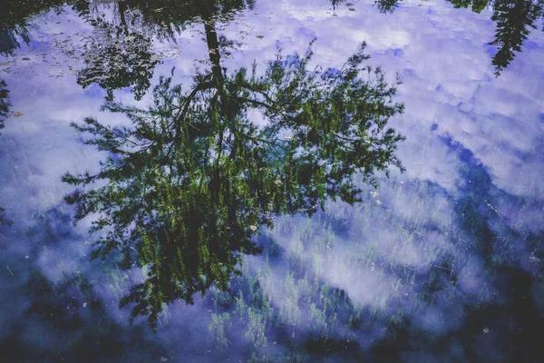 展示每天刷着各种健康文章概念的视觉内容