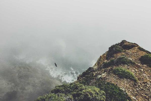 展示掌握使用方法概念的视觉内容