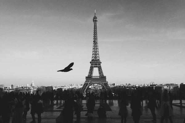 展示它不仅仅是视觉上的享受概念的视觉内容