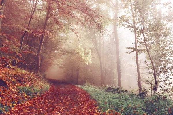 展示在当今信息爆炸的时代概念的视觉内容