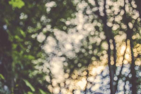 它专注于人物模型和表情动画的制作相关的高质量图像