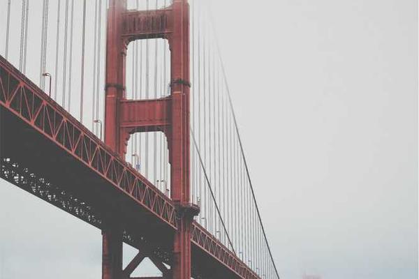 为什么主题的精美插图