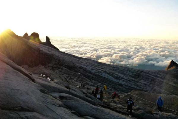关于用户数据的专业图片