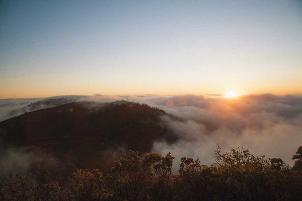 business主题的精美插图