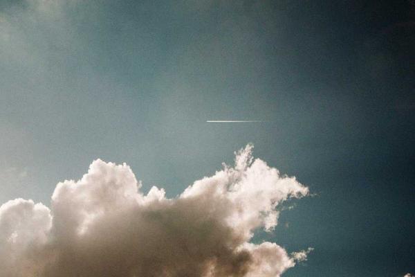 business主题的精美插图