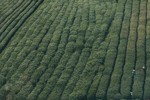 关于business的专业图片