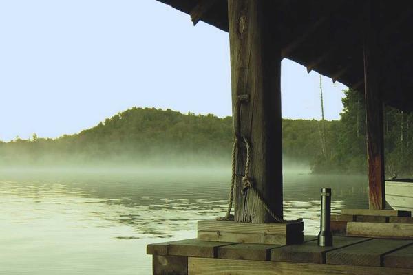 关于business的专业图片