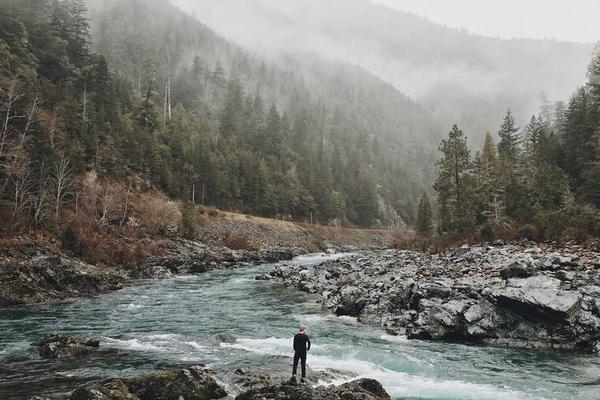 关于business的专业图片