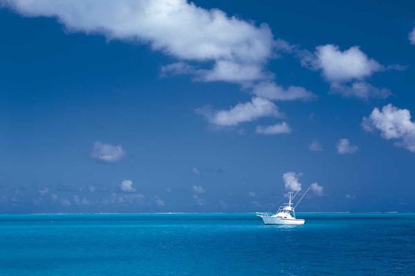 creative相关的高质量图像