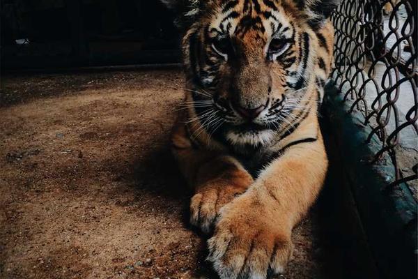 creative相关的高质量图像