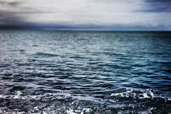 关于如Discuz的专业图片