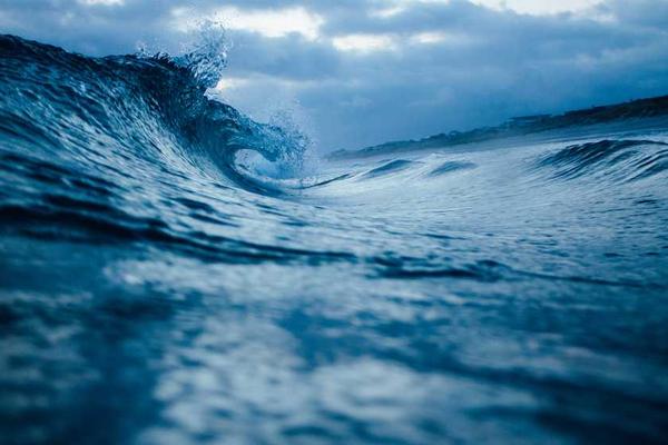 关于growth的专业图片