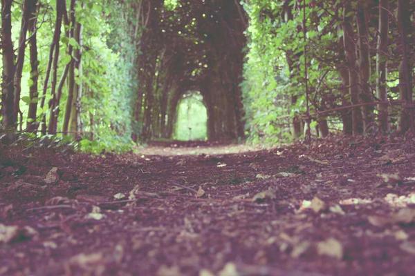 关于growth的专业图片