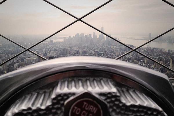 growth相关的高质量图像