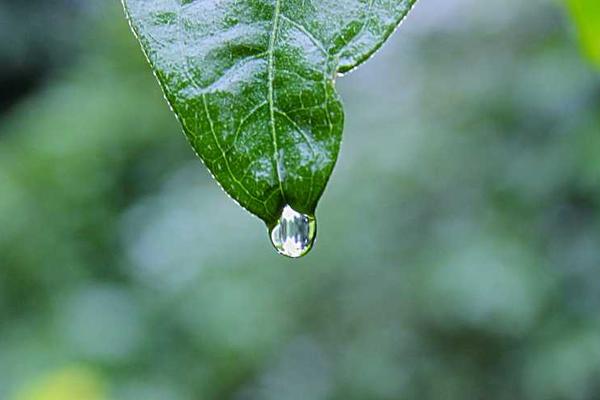 展示innovation概念的视觉内容