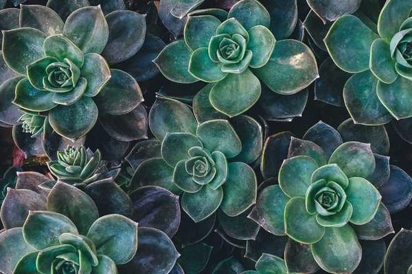 innovation主题的精美插图