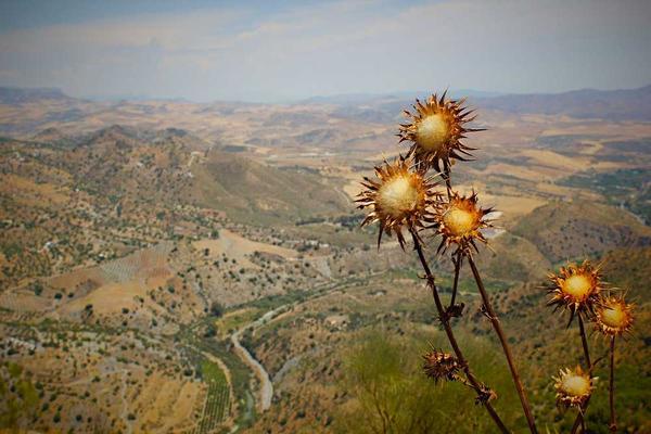 与modern相关的创意图片