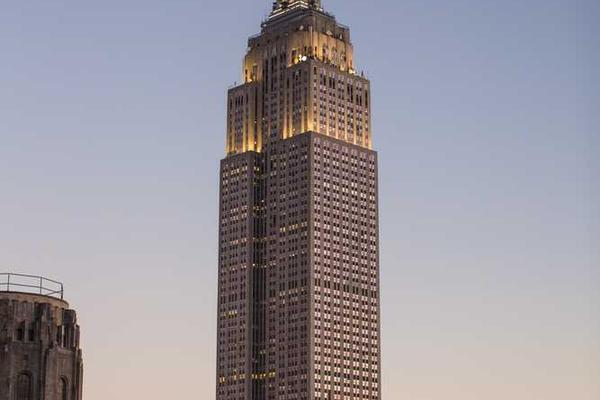 展示professional概念的视觉内容