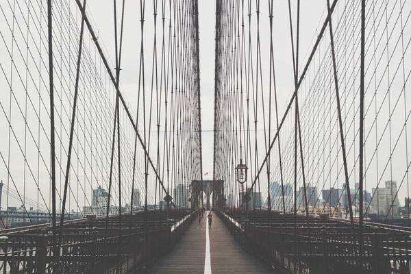 professional主题的精美插图