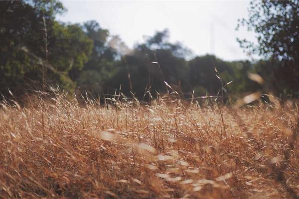 success相关的高质量图像