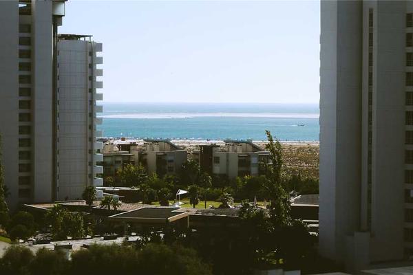 关于success的专业图片