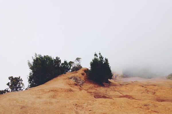 success主题的精美插图