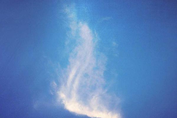 success主题的精美插图