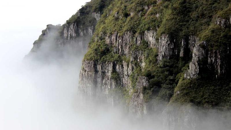 新手指南主题的精美插图