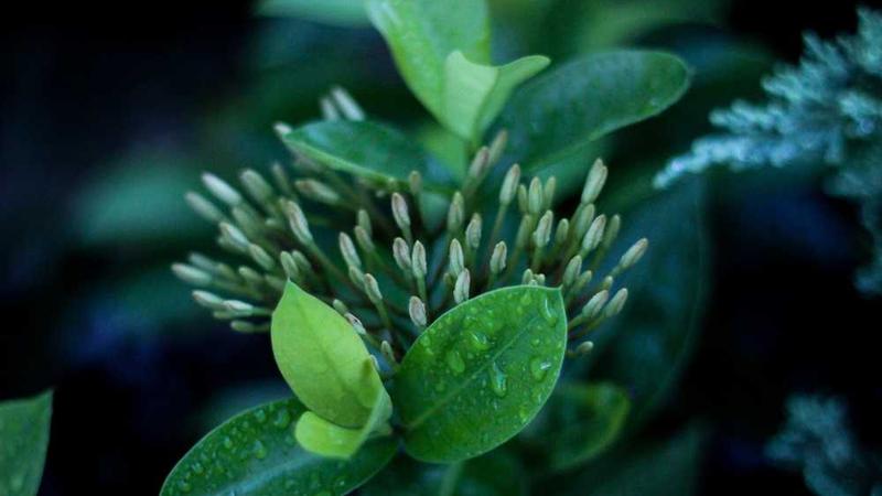 裸美助您打造高效健康工作环境相关的高质量图像