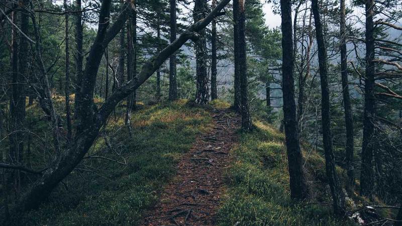 关于抽插乳校花老师掀开校服背后的增长策略的专业图片