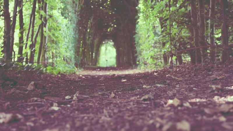 提升患者满意度主题的精美插图