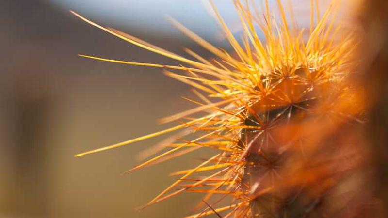 探索抖动美女胸部带来的视觉盛宴主题的精美插图