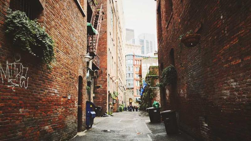 与打造高效消化系统相关的创意图片