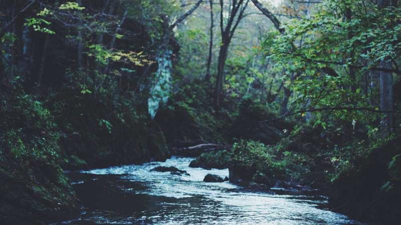 031主题的精美插图