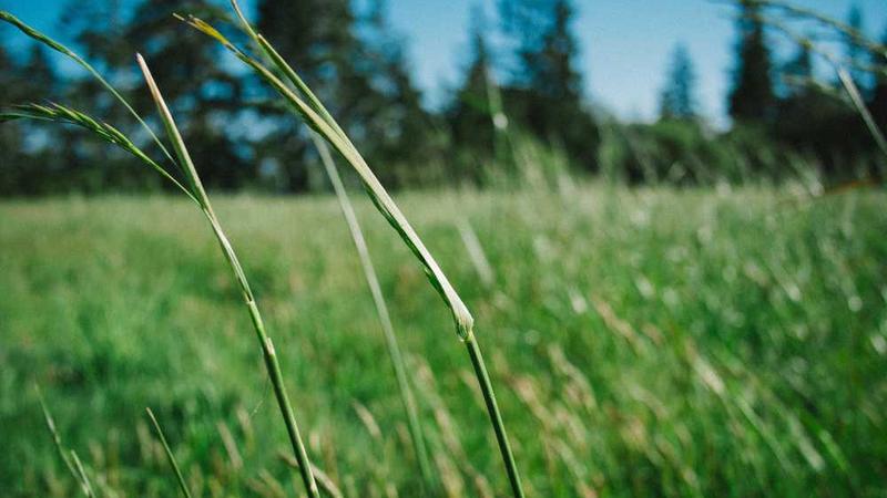 展示abstract概念的视觉内容