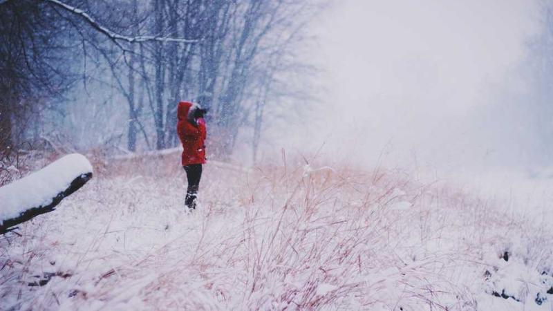 关于abstract的专业图片