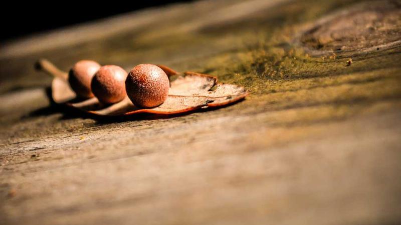 abstract相关的高质量图像