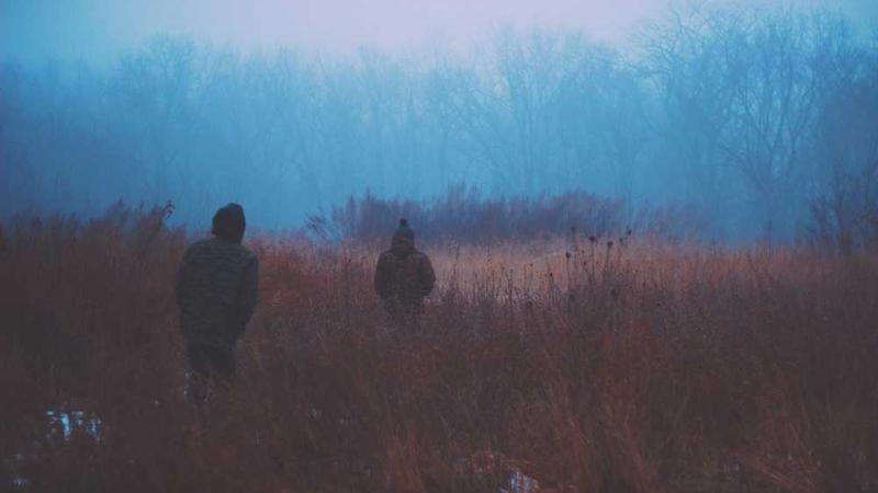 abstract主题的精美插图