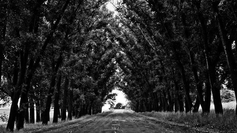 BT下载智能厨房系统帮你轻松打造理想烹饪空间相关的高质量图像