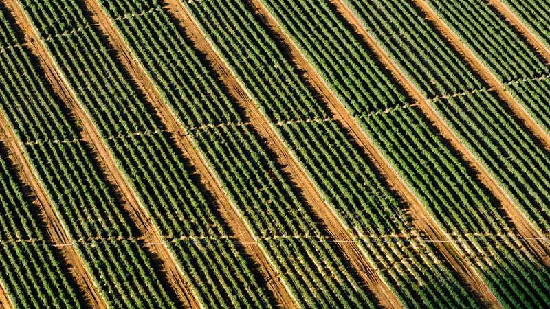 桥本舞bt主题的精美插图