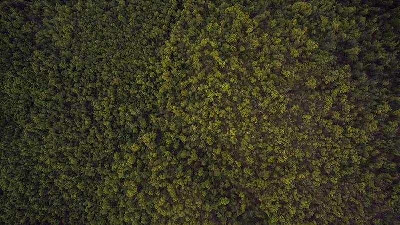 business相关的高质量图像