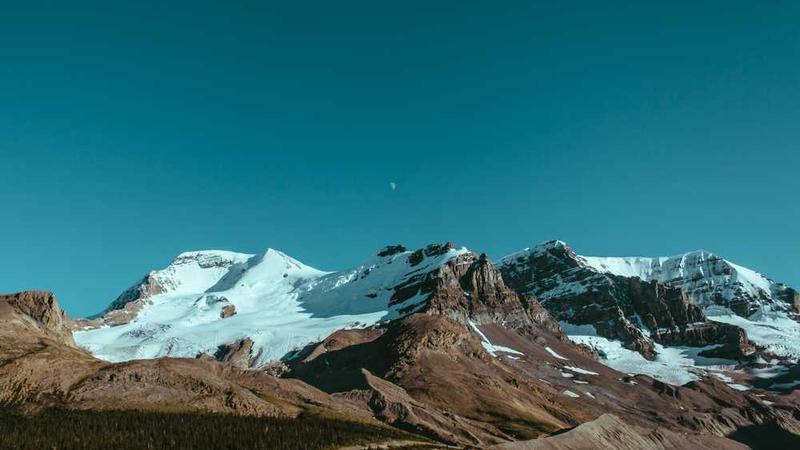 展示business概念的视觉内容