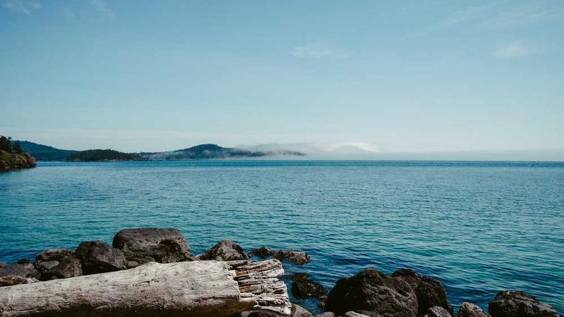 与business相关的创意图片