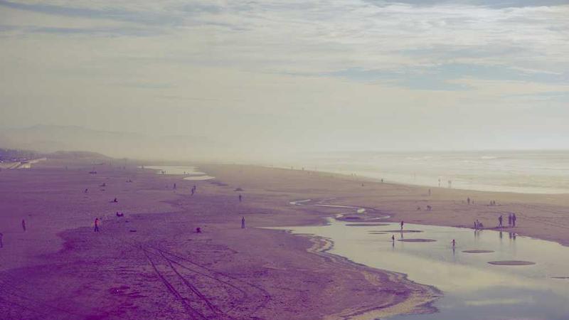 business相关的高质量图像