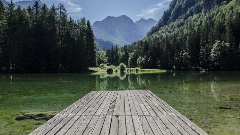 business相关的高质量图像