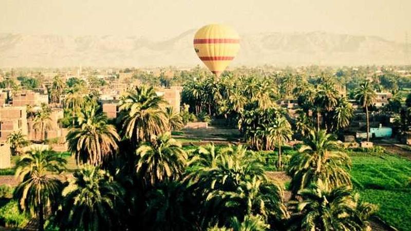 展示business概念的视觉内容