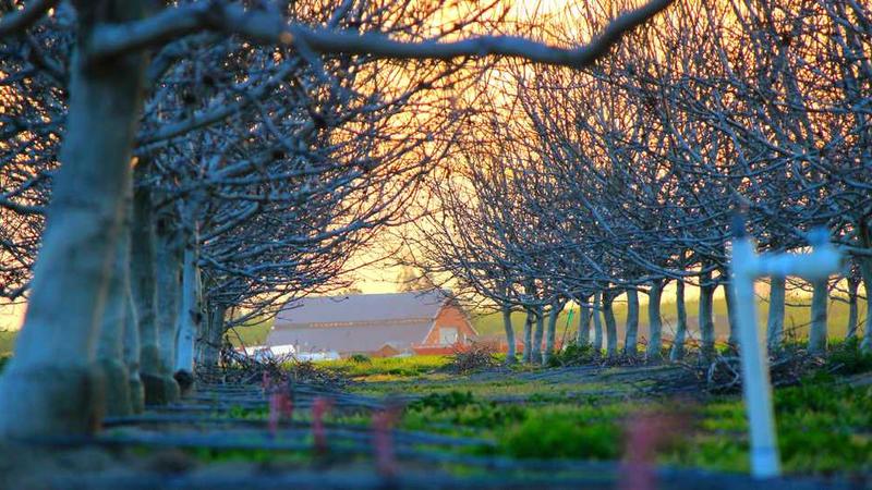 creative相关的高质量图像