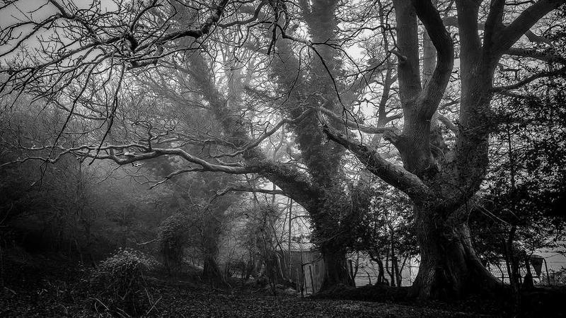 关于creative的专业图片